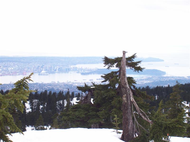 February 22nd 2009 Mt.Seymour Snowshoe photos by Andrew