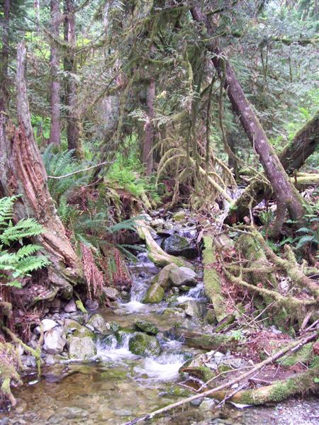 May 16th 2010 Bowen Island photos by Andrew