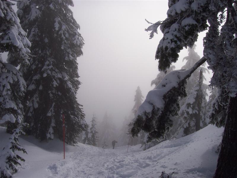 January 22nd 2011 Hollyburn Snowshoe photos by Andrew