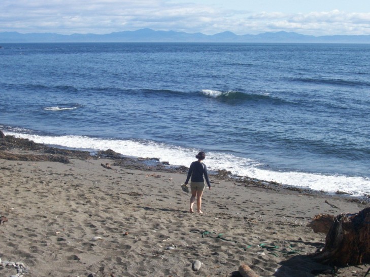 June 2007 Juan de Fuca Trail photos by Andrew
